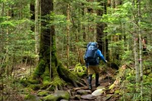 初心者のための登山ガイド